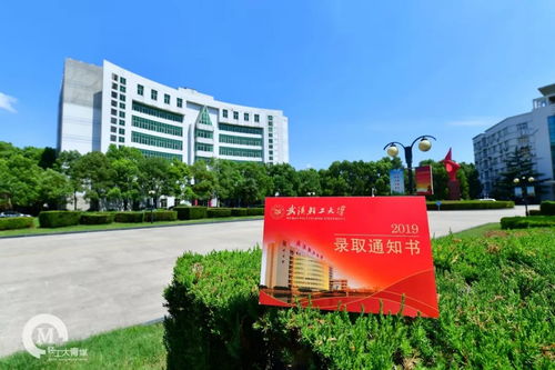 2019級萌新們,武漢輕工大學錄取通知書新鮮出爐