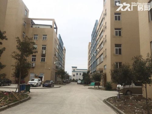 東西湖愛迪克斯工業(yè)園870平米全新標(biāo)準(zhǔn)廠房二樓出租僅剩一套