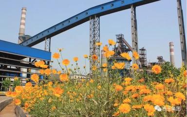 回眸2019(三)|堅(jiān)持綠色發(fā)展理念 推動(dòng)企業(yè)高質(zhì)量發(fā)展