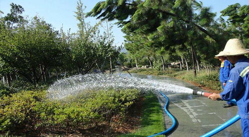 武漢園林維護(hù) 雅珍園林綠化工程 園林景觀維護(hù)